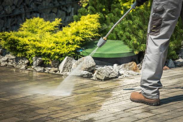 Best Gutter Cleaning  in University Park, IL